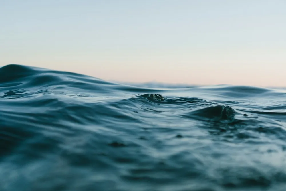 Dark blue Pacific ocean swells